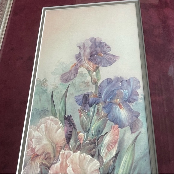Lena Liu Floral Handsigned Artwork Print Peach And Purple Irises Limited Edition - Picture 10 of 11